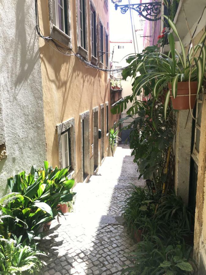 Casa Da Saudade, A Cozy Apartment In Alfama 리스본 외부 사진